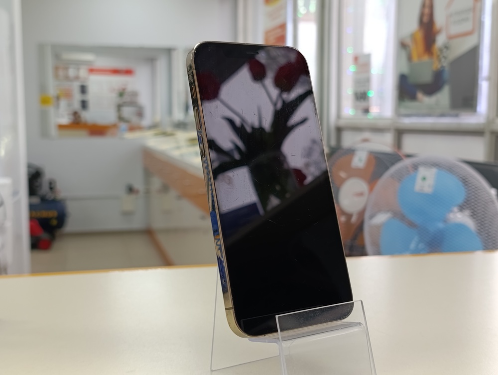 Смартфон Apple iPhone 12 Pro 256Gb