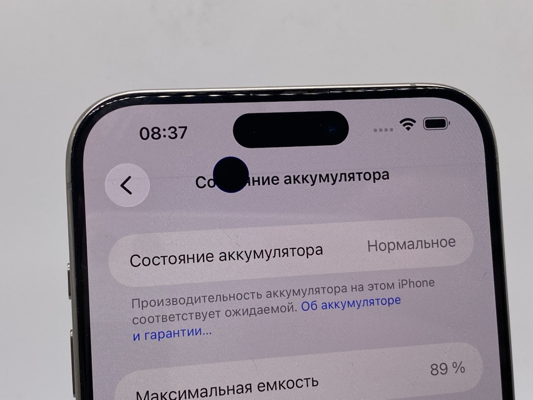 Смартфон Apple iPhone 15 Pro Max 256Gb