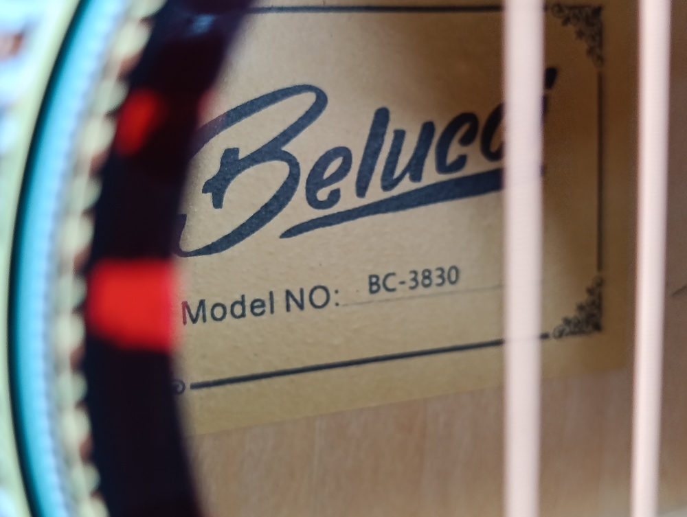 Гитара акустическая Belucci BC3830 RDS (Fire)