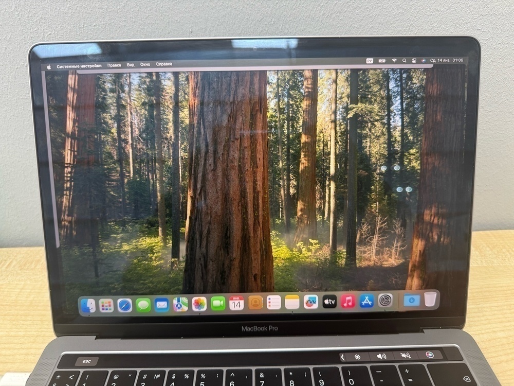 Ноутбук Apple MacBook Pro (13 дюймов,  два порта Thunderbolt 3) A2159 (2019)