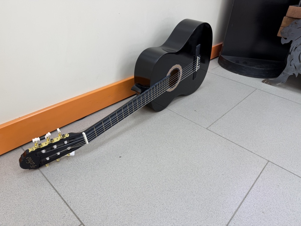 Гитара акустическая Fabio FB3910 BK