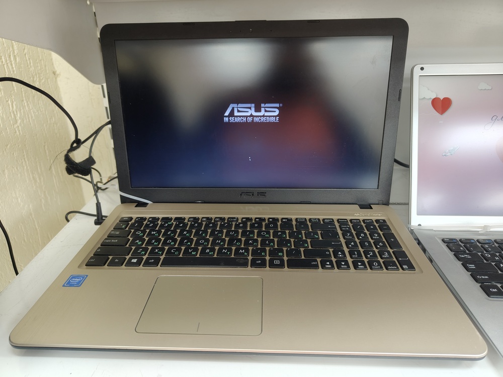 Ноутбук ASUS; Celeron N3350, Intel HD Graphics 500, 4 Гб, Нет, 500 Гб