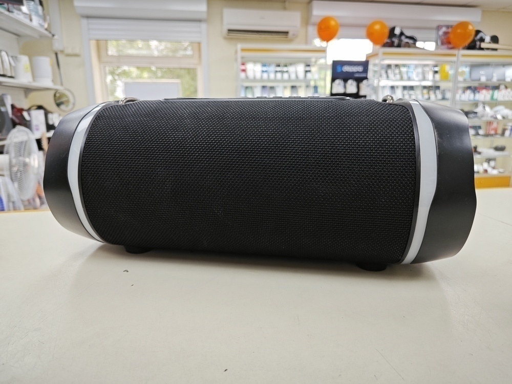 Портативная акустика DEXP P530