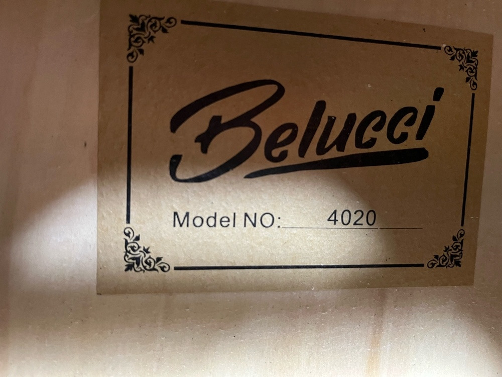 Гитара акустическая Belucci BC4020 BLS