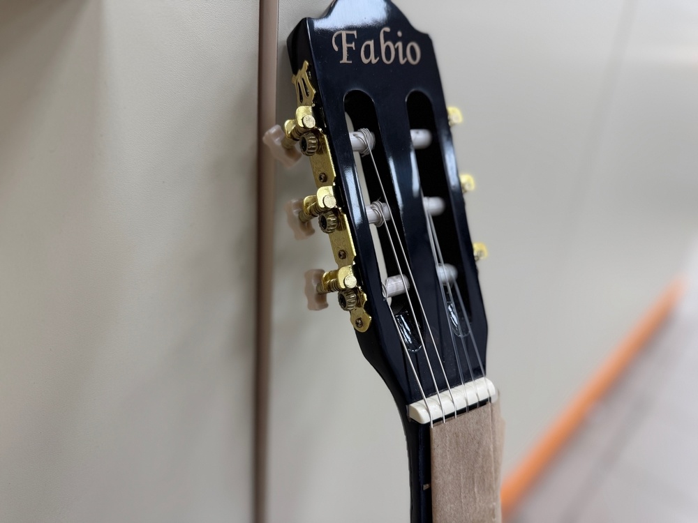 Гитара акустическая Fabio FB3410 BK