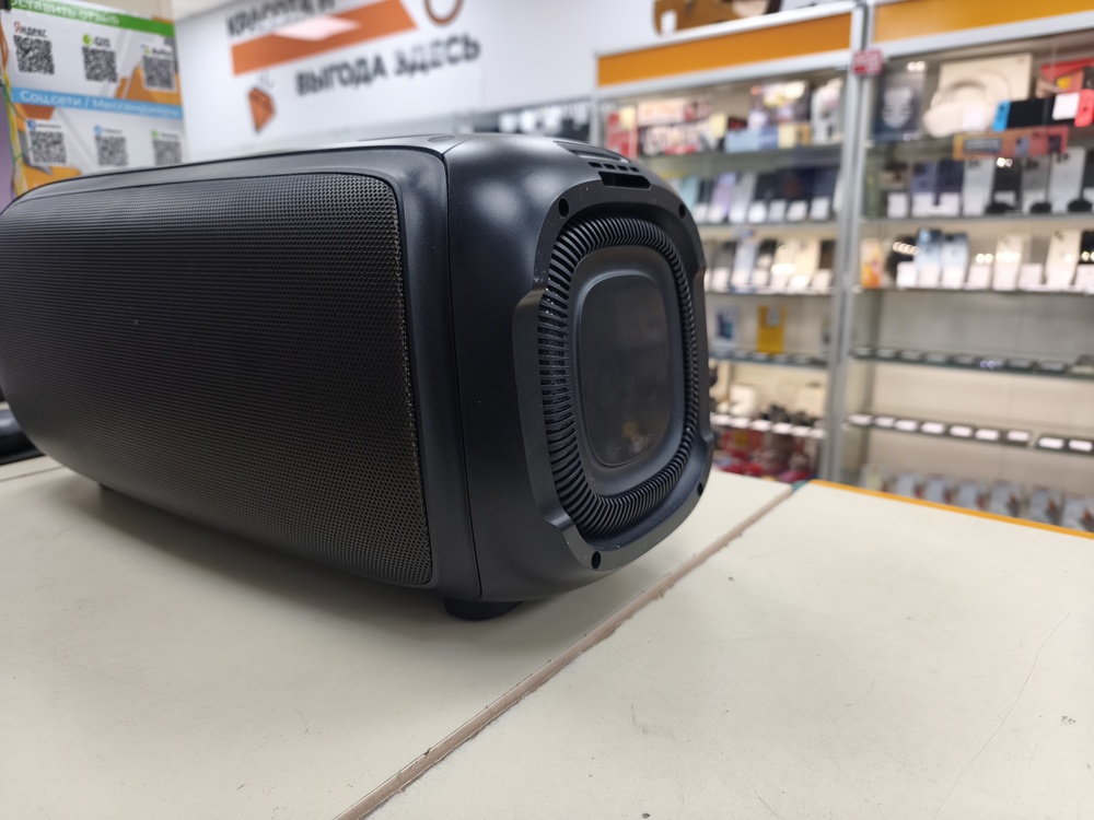 Портативная акустика SMARTBUY EVOLUTION 2