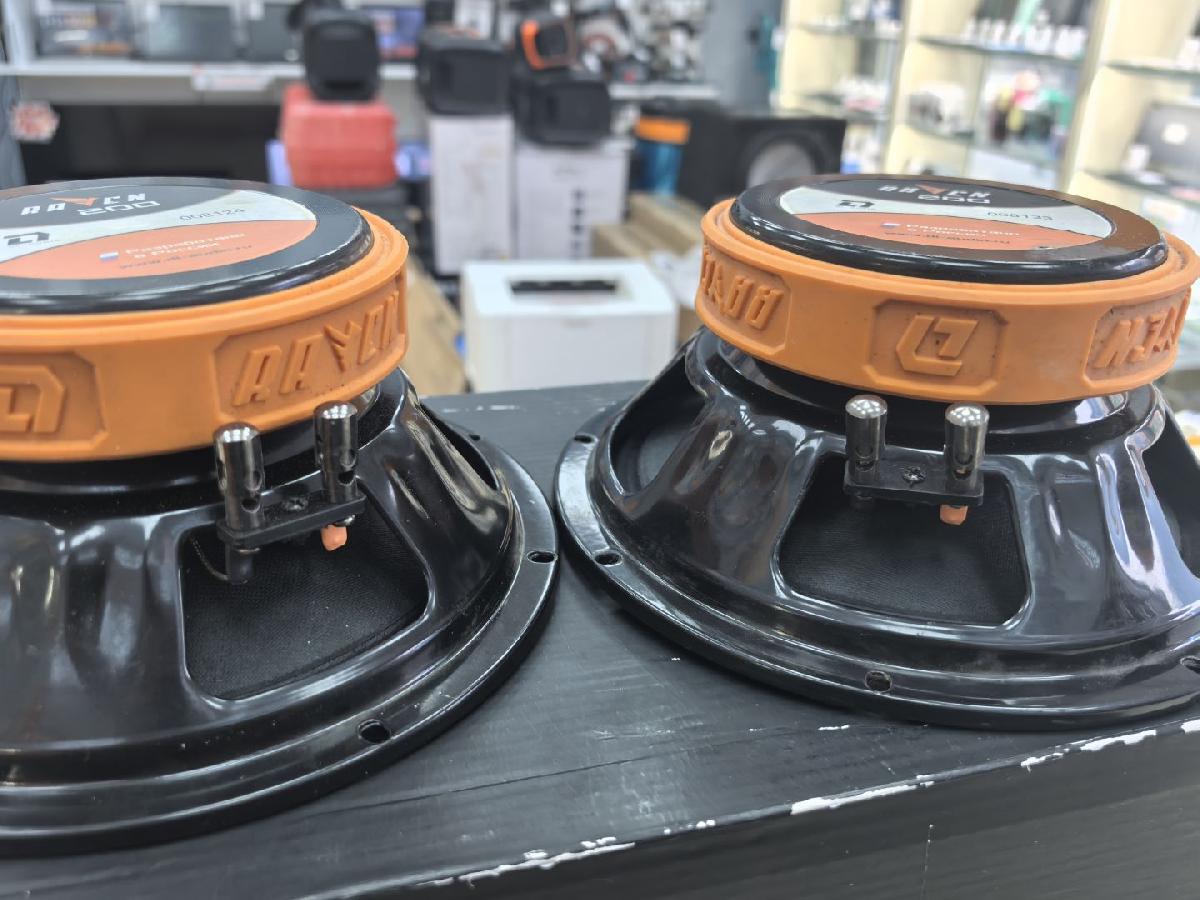 Автоакустика передняя DL Audio Raven 200