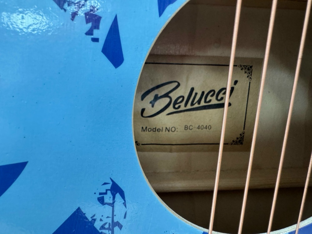 Гитара акустическая Belucci BC4040 (Skelet)