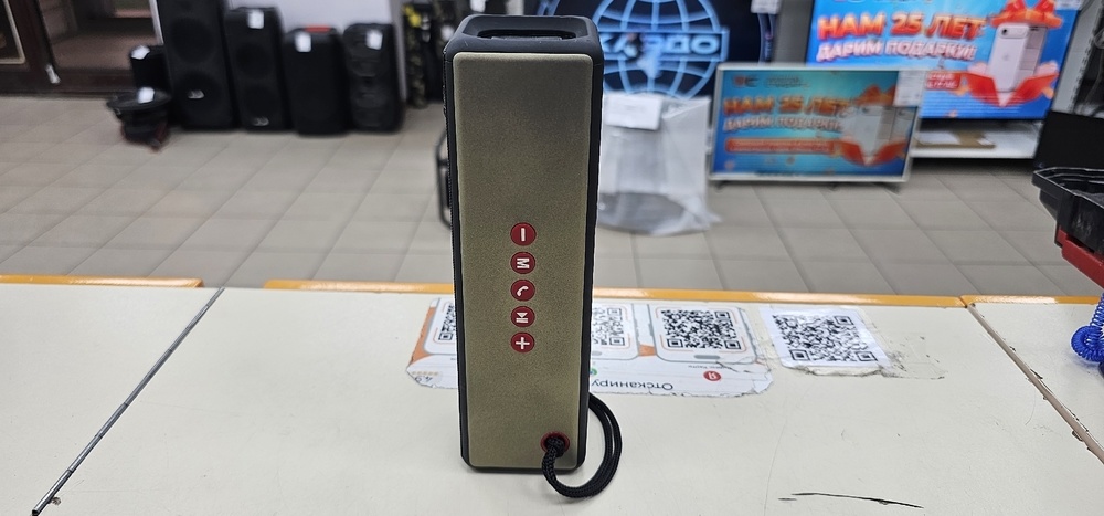 Портативная акустика T&G TG-271