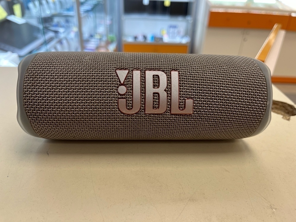 Портативная акустика JBL Flip 6;