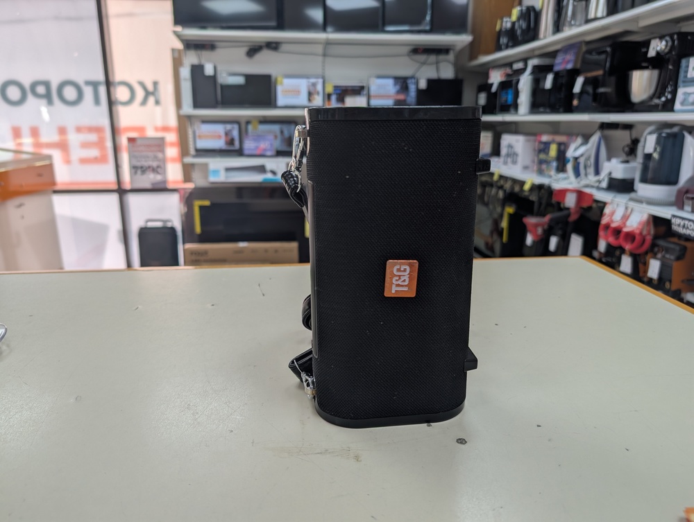 Портативная акустика T&G TG-123
