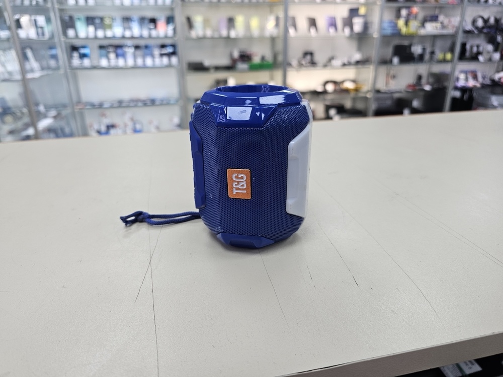 Портативная акустика T&G 162