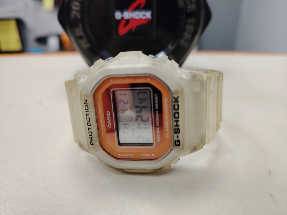 Часы наручные Casio DW-5600LS