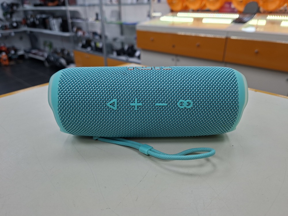 Портативная акустика JBL Flip 6;