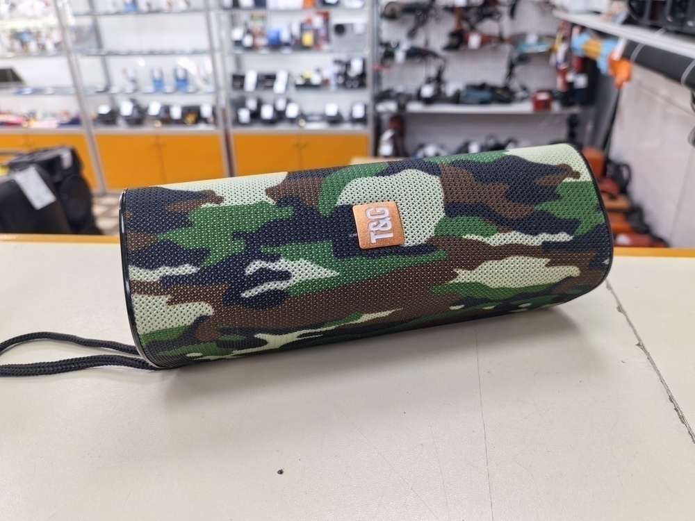 Портативная акустика T&G 113