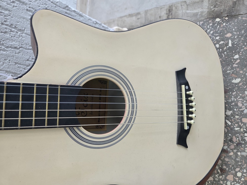 Гитара акустическая Foix FFG-3810C