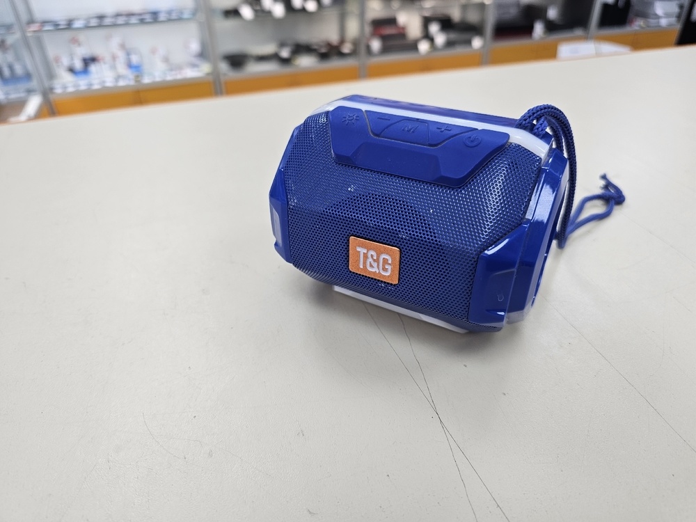 Портативная акустика T&G 162