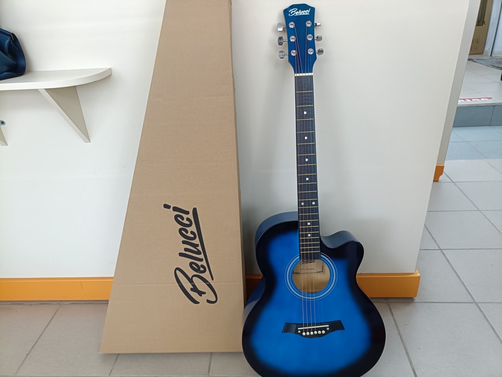 Гитара акустическая Belucci BC4010 BLS