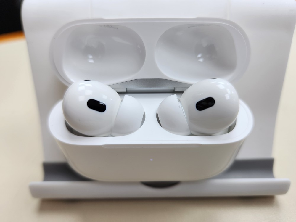 Наушники беспроводные Apple AirPods Pro 2 Case USB-C
