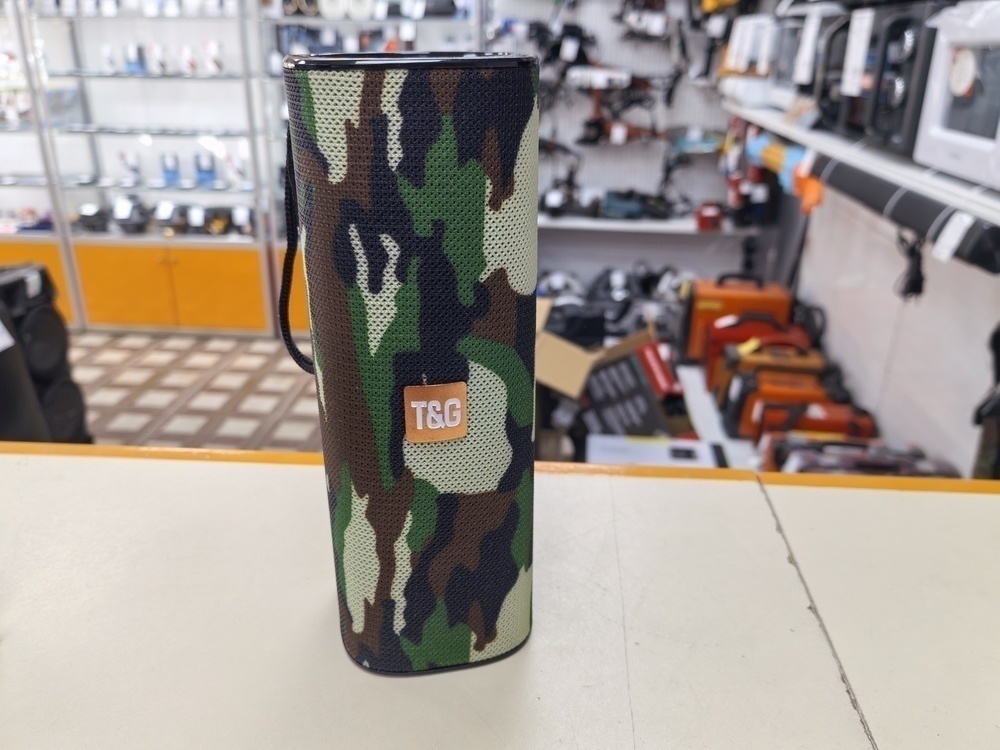 Портативная акустика T&G 113