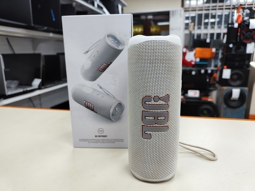 Портативная акустика JBL Flip 6;