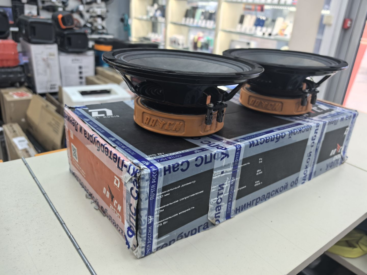 Автоакустика передняя DL Audio Raven 200