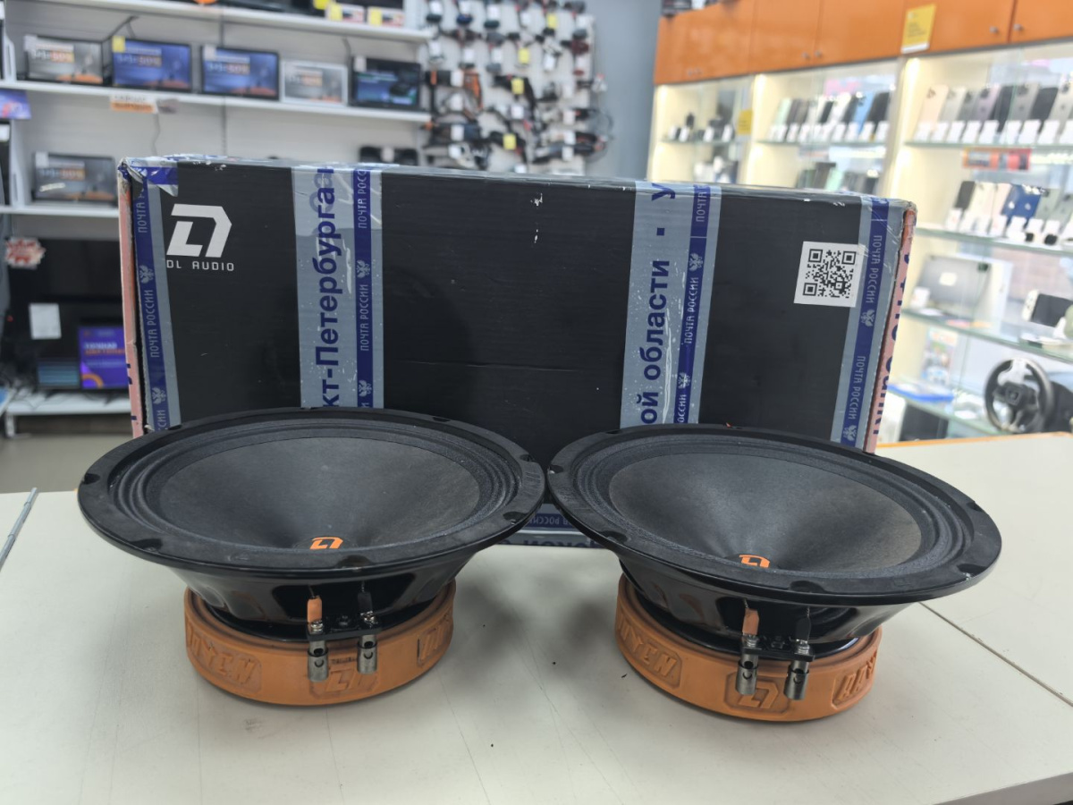 Автоакустика передняя DL Audio Raven 200