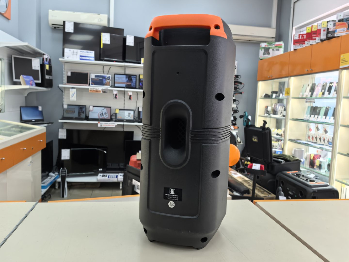 Портативная акустика SMARTBUY SBS-5490