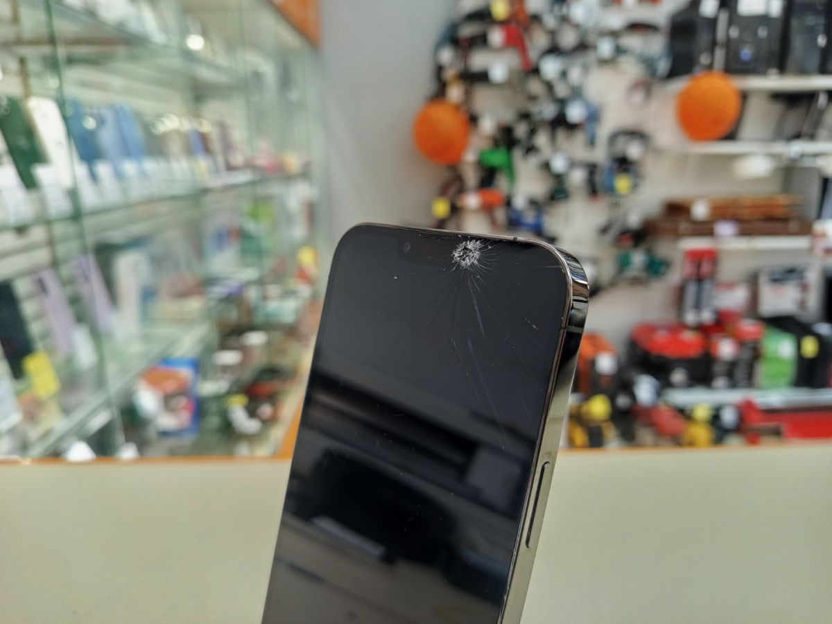 Смартфон Apple iPhone 13 Pro Max 256Gb