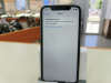 Смартфон Apple iPhone Xr 64Gb