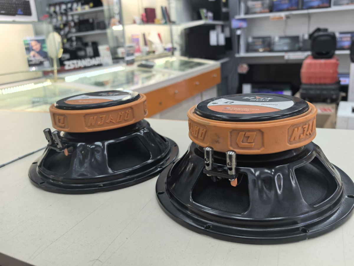 Автоакустика передняя DL Audio Raven 200