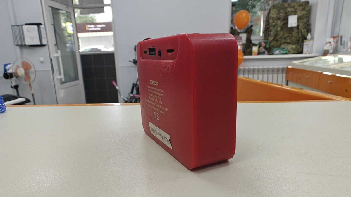 Портативная акустика DEXP P160