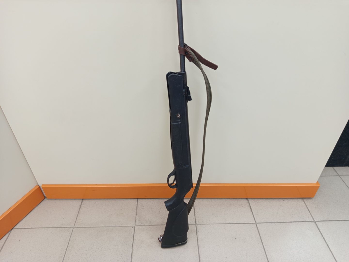 Пневматическая винтовка Hatsan MOD-80